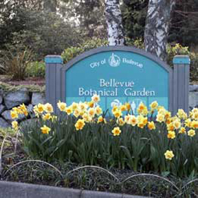 Bellevue Botanic Garden
